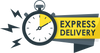 Express Delivery neon sign
