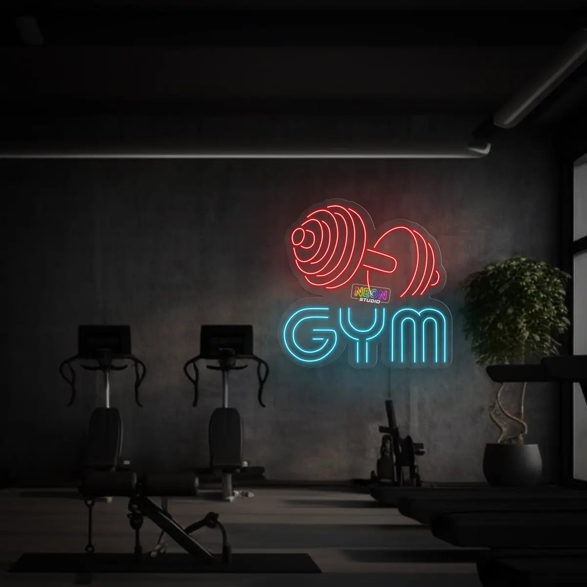 Gym & dumbbell neon sign
