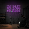 NO PAIN, NO GAIN! neon sign