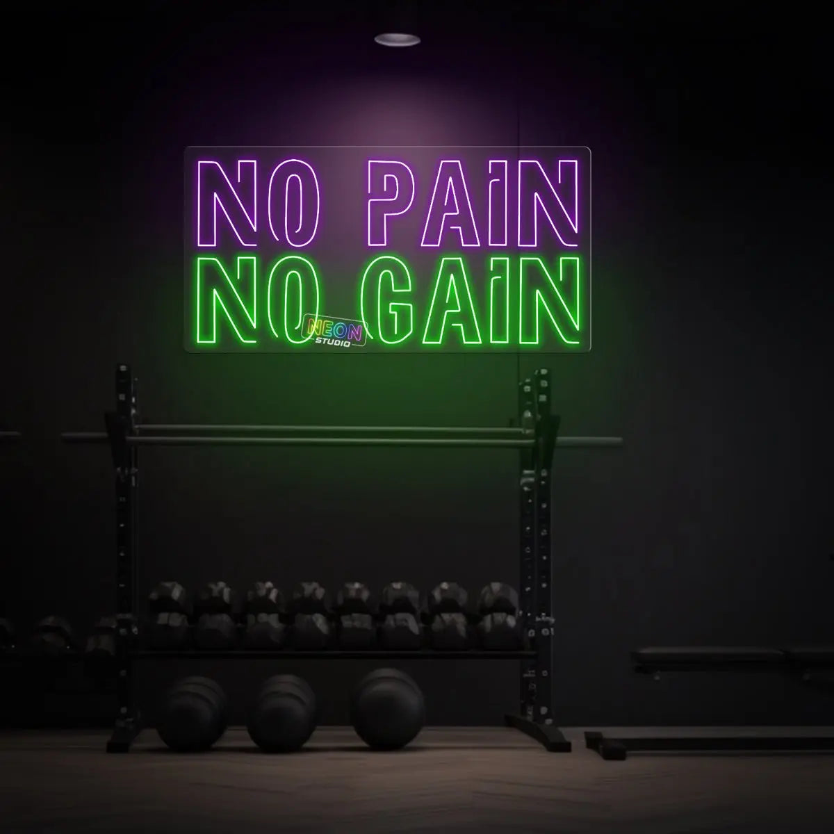 NO PAIN, NO GAIN! neon sign